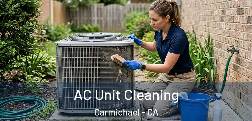  AC Unit Cleaning Carmichael - CA