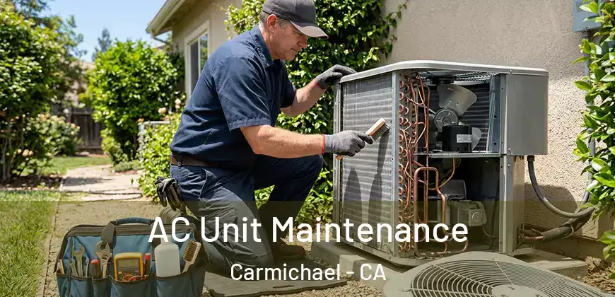  AC Unit Maintenance Carmichael - CA
